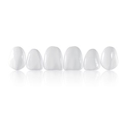 Coltene Componeer - Prefabricated Composite Shells - M Set - 11,12,13,21,22,23 - Bleach Opalescent, 6-Pack