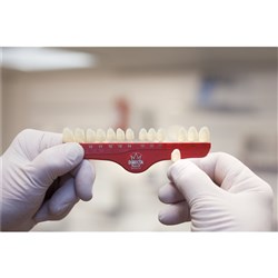 Directa Polycarbonate Temporary Crowns - 301, 5-Pack