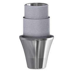 Astra Tech ti-base WP N-Eng