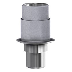 Rep Ti Base 0.5 Eng NP