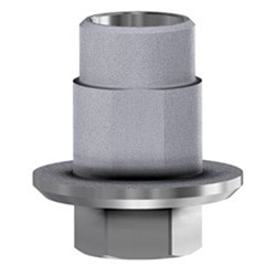 MIS Ti Base GH 0.3 Eng WP