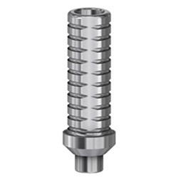 Zim/MIS Temp Abut N-Eng NP