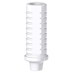 Ankylos Plastic Castable N-Eng