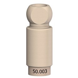 Branemark Scan Abut WP