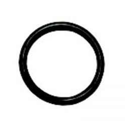EMS O-Ring - 4.10 x 1.6