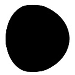 Hawe Transparent Cervical Matrices - 851 S, 150-Pack