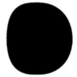 Hawe Transparent Cervical Matrices - 855 S, 150-Pack