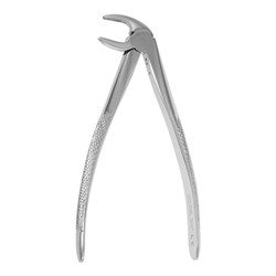 Julius Wirth European Style Forceps - #13 Serrated
