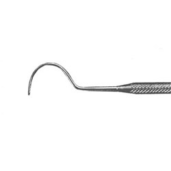 Morita Beach Explorer - 23BS