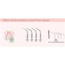 Morita Solfy F Tip - R1