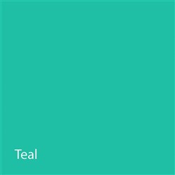NAOL Chain Elastic, Teal Long 15'