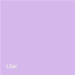 NAOL Chain Elastic, Lilac Continuous 15'