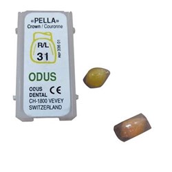 Odus PELLA Crown Form - Clear -31 - Right and Left, 1-Pack