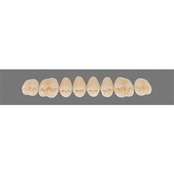 Vita Vitapan 3D, Upper, Posterior, Cuspiform, Shade 2R15, Mould 43CU