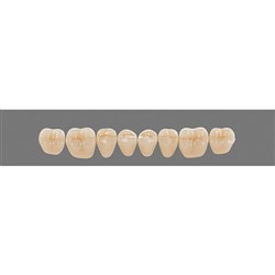 Vita Vitapan 3D, Lower, Posterior, Cuspiform, Shade 3M1, Mould 40CL