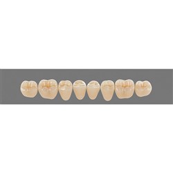 Vita Vitapan 3D, Lower, Posterior, Cuspiform, Shade 4M1, Mould  41CL