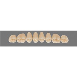 Vita Vitapan 3D, Upper, Posterior, Cuspiform, Shade 5M2, Mould  42CU