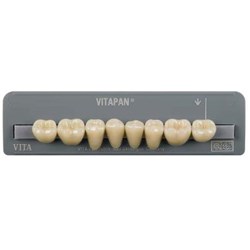 Vita Vitapan Classical Lower, Posterior, Synoform, Shade A2, Mould 13S