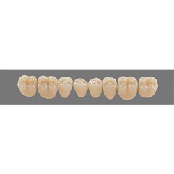 Vita Physiodens Classic, Lower Posterior, Shade C4, Mould 21E