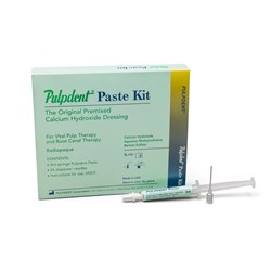 Pulpdent Paste - Premixed Calcium Hydroxide Dressing - 3ml Syringe