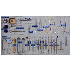 Dr Glen Liddlelow Kit