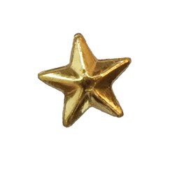 Twinkles - Tooth Jewellery - Small Star - Gold 22k