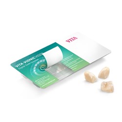 Vita VIONIC VIGO - Anterior - Shade B3, Mould R49 - Upper