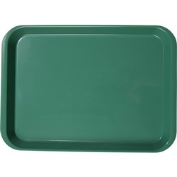 ZIRC B Lok Flat Tray - Green - 33.97 x 24.45 x 2.22cm