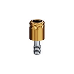 Locator Abut 4.0 Spline 3.0m