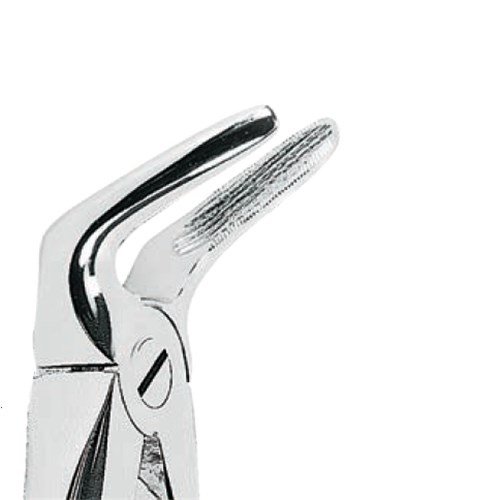 ASA Dental Forceps - #31 - Lower Roots and Incisors