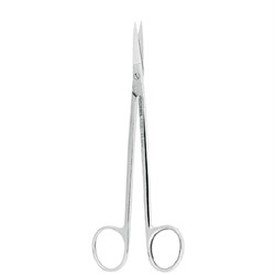 ASA Dental Gum Scissors - Kelly - #1 - Straight - 16cm