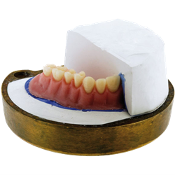 VX-REG4000GVD5 - Vertex REGULAR Powder Shade 5 Pink Veined