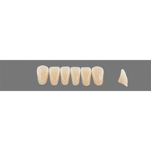 4L25 Lower L13 Anterior L3 - L15