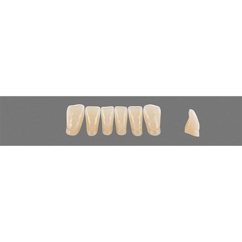 4L25 Lower L4 Anterior L3 - L15