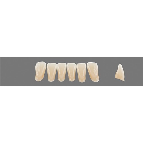 4M3 Lower L11 Anterior L3 - L15