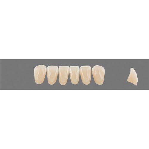 4R25 Lower L10 Anterior L3 - L15