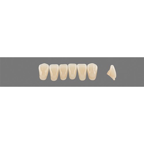 5M1 Lower L3 Anterior L3 - L15