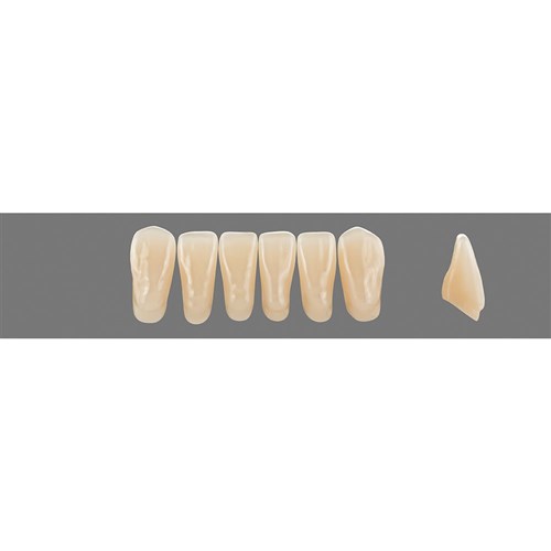 5M2 Lower L15 Anterior L3 - L15