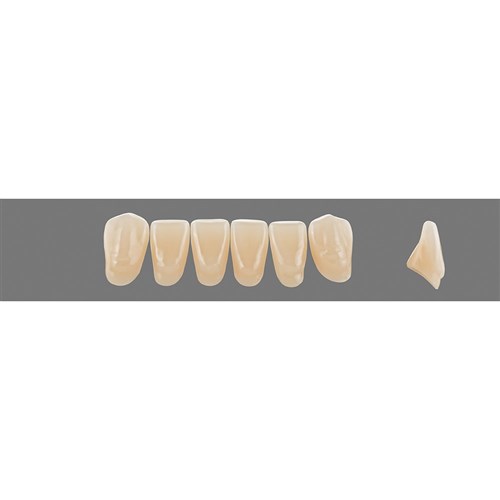5M3 Lower L12 Anterior L3 - L15