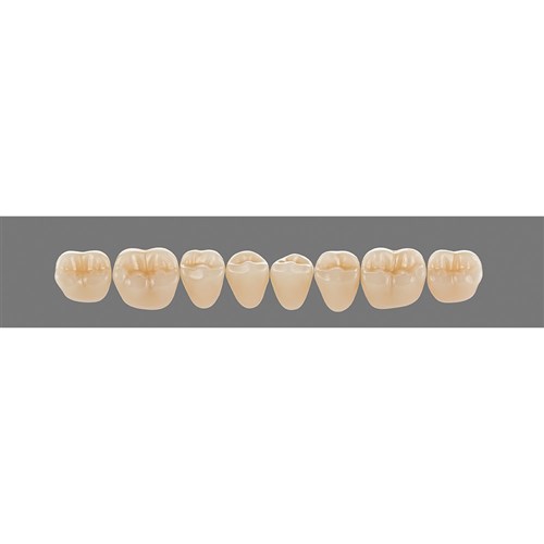 3M1 Lower 43CL Cuspiform