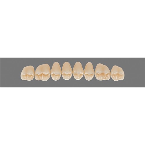 3M2 Upper 41CU Cuspiform