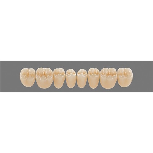 Lower 21L A4 Lingoform Teeth - Classical