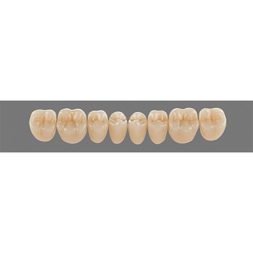 Lower 22L B2 Lingoform Teeth - Classical