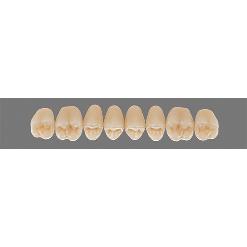 Upper 22L C2 Lingoform Teeth - Classical