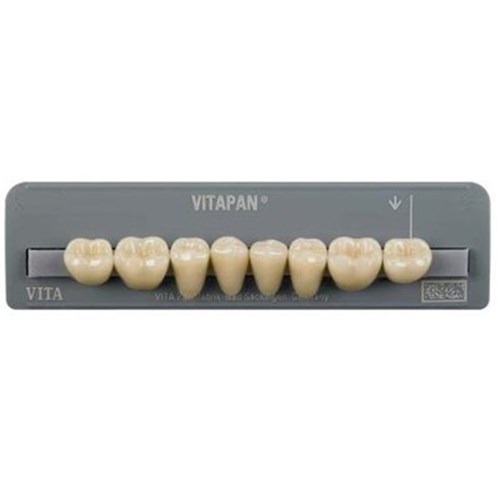 Lower  A2 10S Synoform