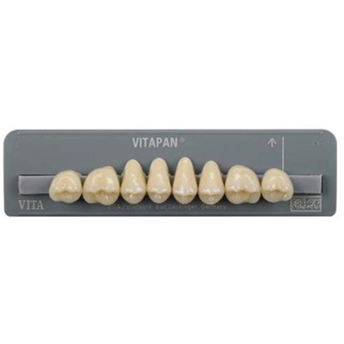 Upper   C2 40C Cuspiform