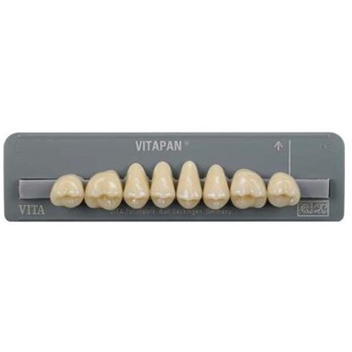 Upper   D2 42C Cuspiform